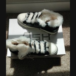 Ash valant faux sneaker